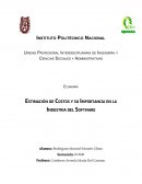 Importancia de la determinación de costos de un Software