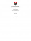 Sistema Seguridad Ocupacional