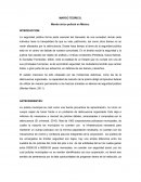 Mando único policial en México.