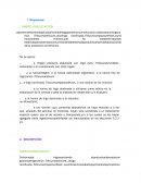Resumen de Modulo