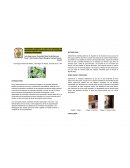 Higuerilla y sus extractos