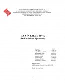 EJECUCION DE LA VIA EJECUTIVA