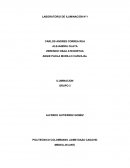 LABORATORIO DE ILUMINACIÓN N°1