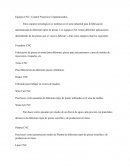 Control Numerico Computarizados.
