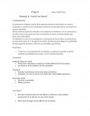 Homenaje al General San Martin