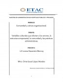 Variables culturales que afectan a los actores, la estructura empresarial, la comunidad y las prácticas administrativas.