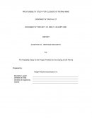 PRE-FEASIBILITY STUDY FOR CLOSURE OF PIERINA MINE