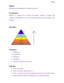 Identificar las necesidades de los seres humanos.