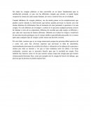 Cirugías Plásticas - Conclusiones.