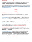 ARTICULO DE OPINION DE LA PELICULA LOS CORISTAS