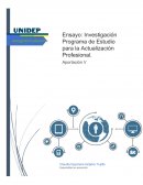Ensayo: Investigación programa de estudio para la actualización profesional