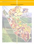 LOS POTENCIALES DEL SECTOR AGROEXPORTADOR AÑO 2017