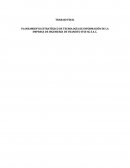 PLANEAMIENTO ESTRATÉGICO DE TECNOLOGÍA DE INFORMACIÓN DE LA EMPRESA DE INGENIERÍA DE TRANSITO ITSS-SG S.A.C.