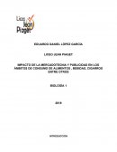IMPACTO DE LA MERCADOTECNIA Y PUBLICIDAD EN LOS ÁMBITOS DE CONSUMO DE ALIMENTOS , BEBIDAS, CIGARROS ENTRE OTROS