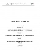 RESPONSABILIDAD PENAL Y PUNIBILIDAD