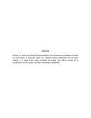 FUNDAMENTOS TEORICOS PAPAS