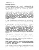 Los enfoques curriculares