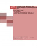 La película “La Ola” - Die Welle (2008)