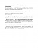 Organización y clasificación de empresas