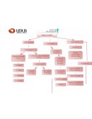 Diagrama sistema auditivo