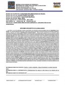 INFORME DESCRIPTIVO GLOBALIZADO.