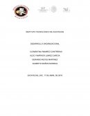 Zacatecas Coffe cafetisimos