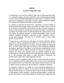 Cuando la Imaginación Vuela