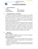 Plan individual de monografía COAR ICA