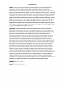 La evolución política, económica y social de la confederación Argentina