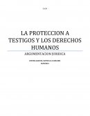 LA PROTECCION A TESTIGOS EN DELINCUENCIA ORGANIZADA Y LOS DERECHOS HUMANOS