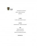 TRABAJO EN EQUIPO MODELO DE EFICACIA MODELO DE MADUREZ DE EQUIPO