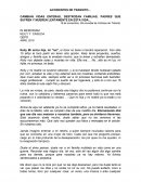 TODOS DEBEMOS HACER ALGO FRENTE A LOS ACCIDENTES DE TRANSITO