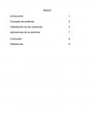 Ceramicos informe
