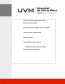 Cuadro sinoptico Auditoria y Calidad