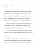 Conceptos y Características de la Administración