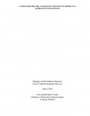 CONFIGURACIÓN DEL CIUDADANO VENEZOLANO DESDE UNA DEMOCRACIA IMAGINADA