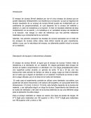 Ensayo de dureza Brinell. Desarrollo de la actividad y Discusiones