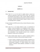 INFORME PRACTICAS PROFESIONALES 2016