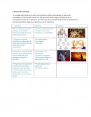 Funciones de la sociedad. Fenómenos sociales
