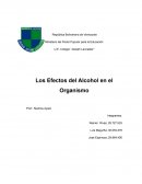 Los Efectos del Alcohol en el Organismo