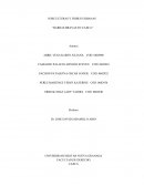 SUBCULTURAS Y TRIBUS URBANAS “BARRAS BRAVAS EN CAJICA”