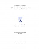 PEI – Administración de Empresas y Mercadotecnia