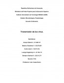 Transmisión de los virus