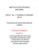 TECNICAS DE INVESTIGACION DE CAMPO “EFICIENCIA TERMINAL”