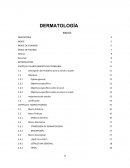 DERMATOLOGIA. ETIMOLOGÍA DE DERMATOLOGIA