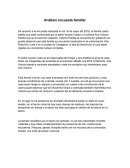 Análisis encuesta familiar
