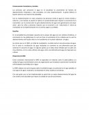 Consecuencias Económicas y Sociales