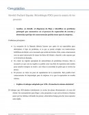 Caso HP Dirección Funcional y por Procesos