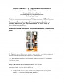 Práctica de laboratorio de Física II Oscilaciones libres en un sistema masa resort