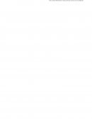 Trabajo de Etica. Tipos de Ética